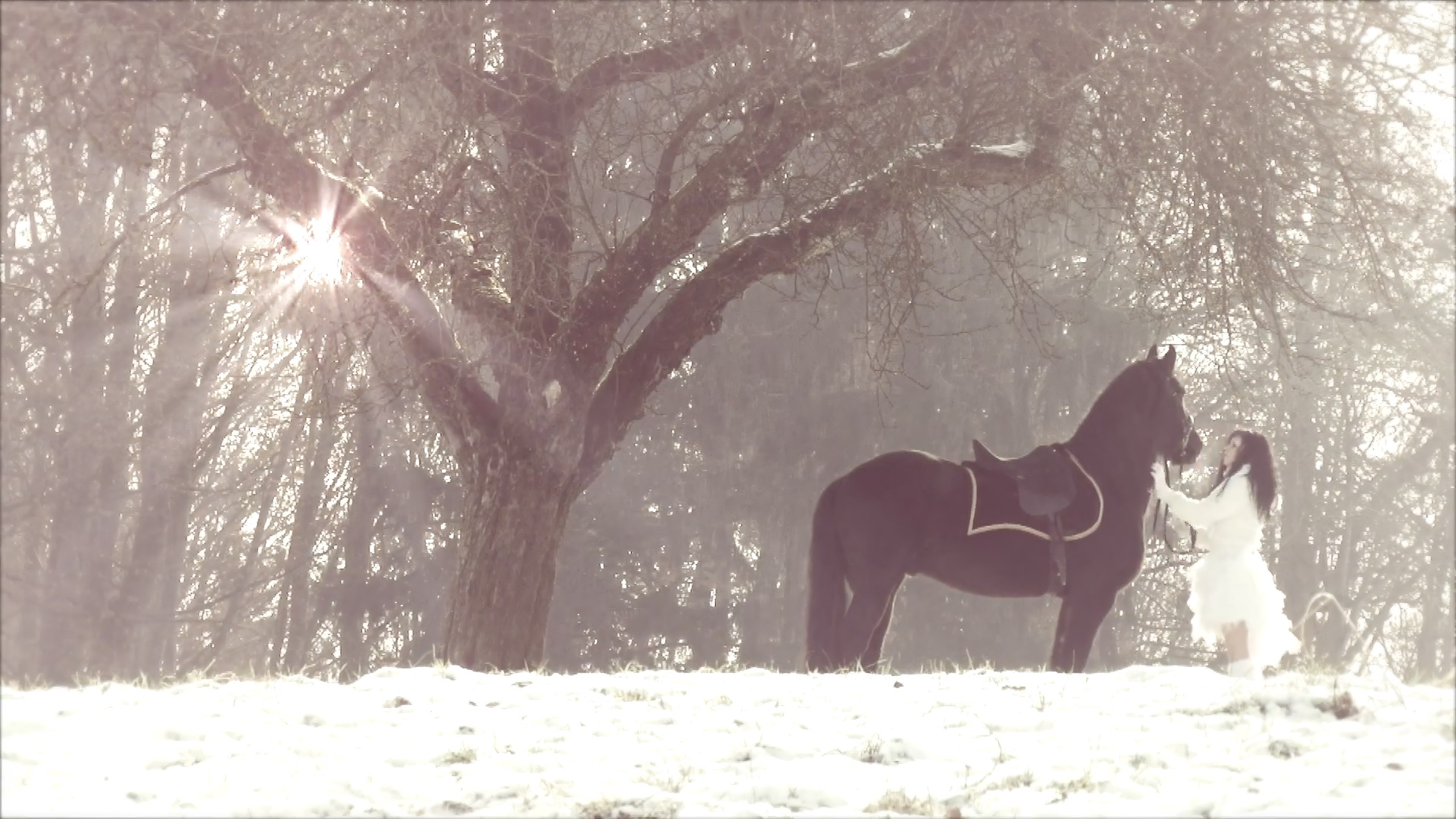 Music-Video1