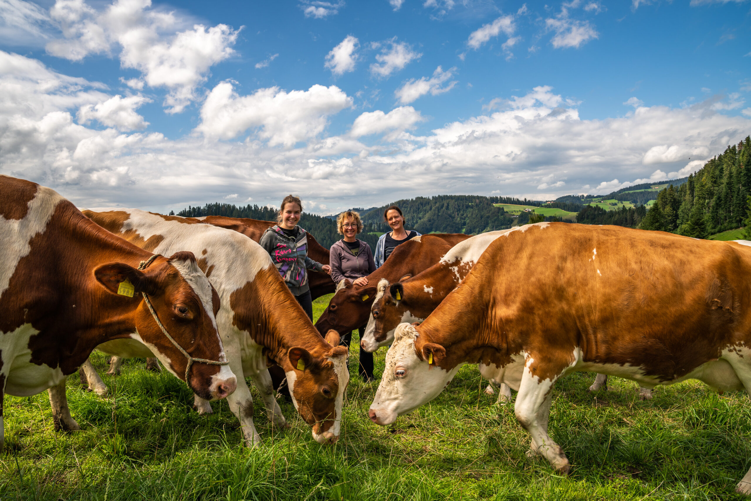 Team-2019-04274