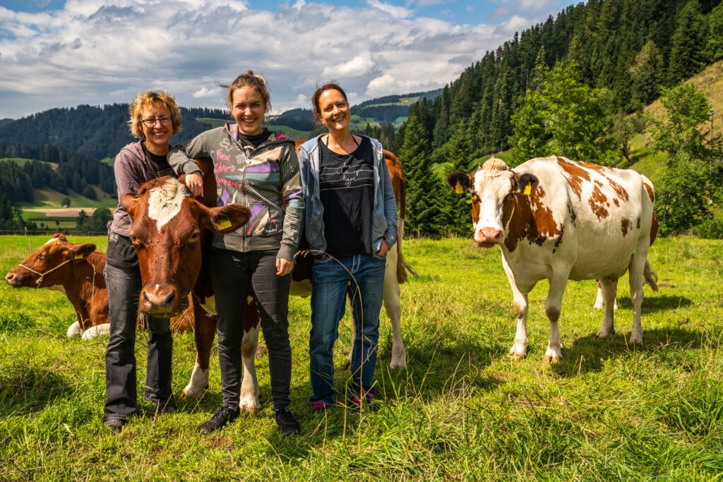 Cowpassion – Milchprodukte aus MUKA-Haltung Fotoarbeiten — Bild 1